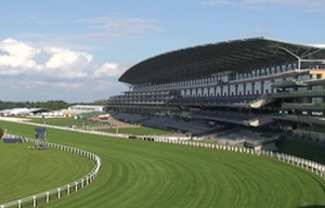 Behind the scenes at Royal Ascot