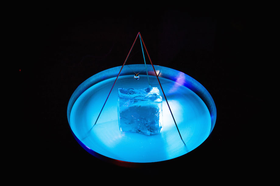 The algae – known as ‘living light’ – is activated by movement and visible only in the dark