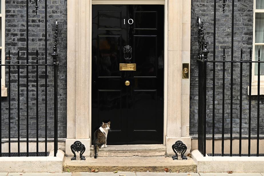 An image of 10 Downing Street with Larry the Cat in front.