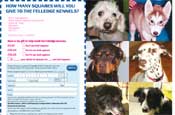 RSPCA launches kennel campaign