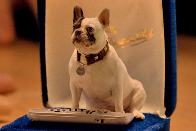 Wall's: dog mascot duets with Jason Donovan