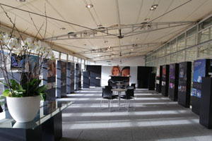 The gallery