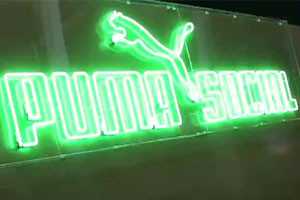 The Puma Social club offered relaxation and nightlife