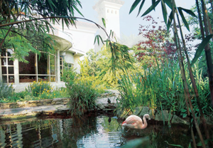 V Festival VIPs to enjoy Roof Gardens pop up
