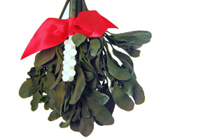 Associations join forces for Christmas party