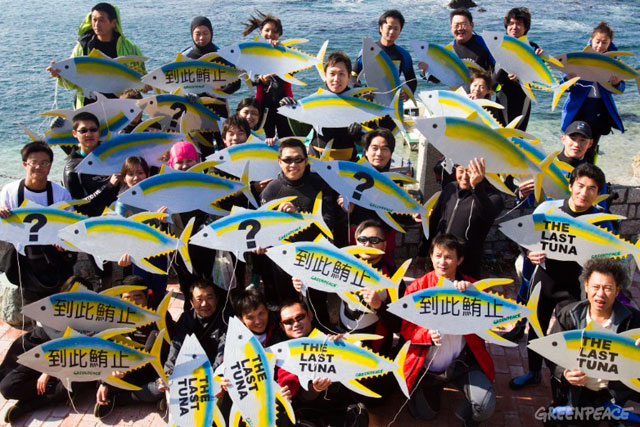 Greenpeace: Work Club will seek to raise awareness on over-fishing in Europe