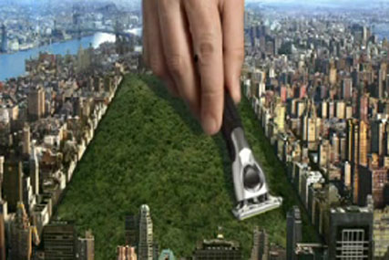 Wilkinson Sword: launched microsite with grooming tips