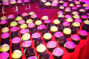 Candy-coloured cupcakes made by Company of Cooks