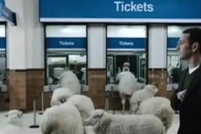 Thetrainline.com: using sheep as billboards