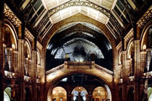 Natural History Museum looking to update its production accreditation list