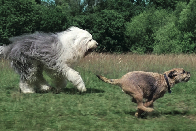 Wickes'slightly gratuitous visual metaphor' is one of ad's few flaws
