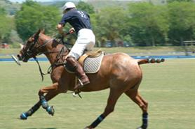 Win a pair of VIP tickets to this weekend's HAC '105' Polo 