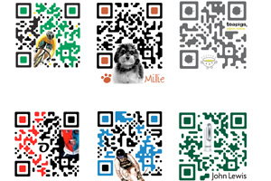 QR Baa's fine work