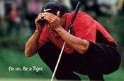 Accenture: drops Tiger Woods