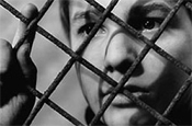 The 400 Blows: showing as part of the Stella Artois film festival