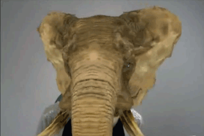 RSPCA has created an AR elephant