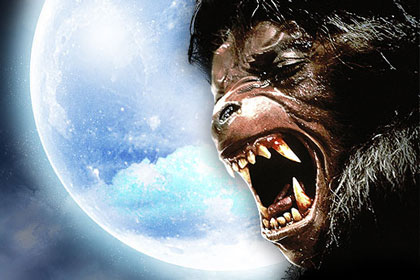 An American Werewolf in London: LoveFilm teamed up with See Film Differently to screen the classic at London Zoo