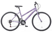 ASDA: the flat-pack bike raises concerns