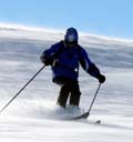 Skiers: on the Integral list