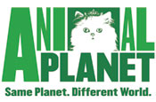 Animal Planet: unveils new identity