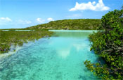 Bahamas: Fox Kalomaski wins account