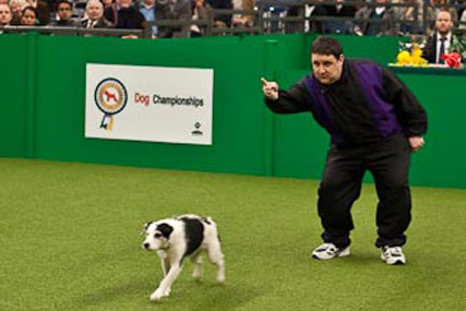 John Smith's: 'dog show' work by TBWA