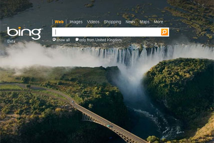 Bing: will power Yahoo's search engine