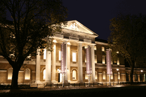 Saatchi Gallery
