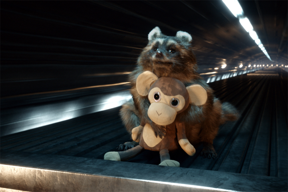 A raccoon cluthes a monkey plush toy while riding a train