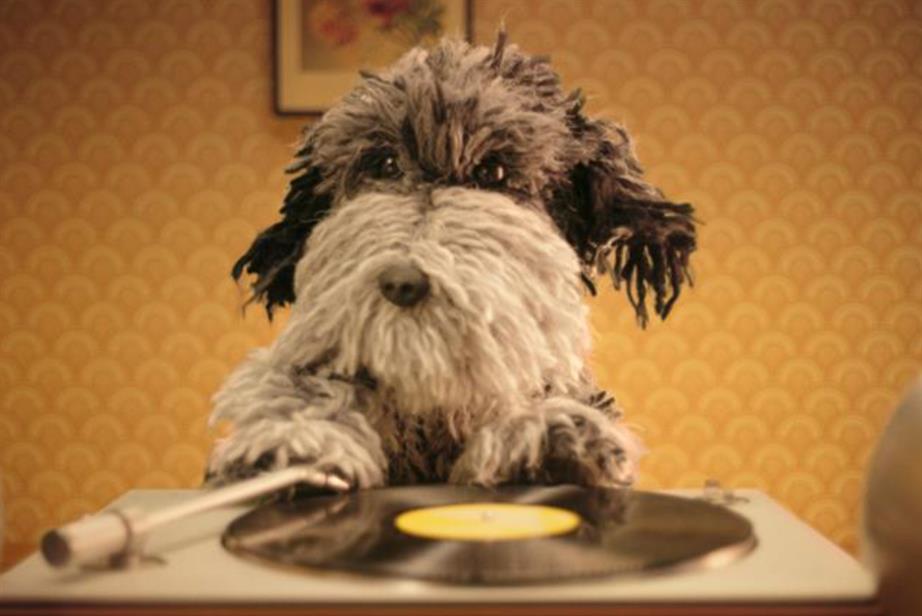 Dog with a record player