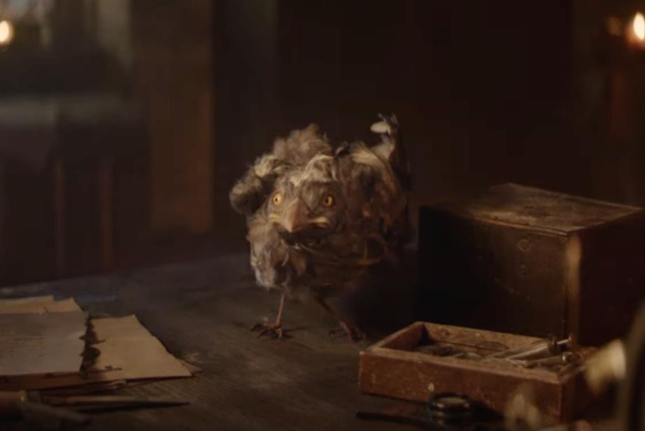 Bird on a table