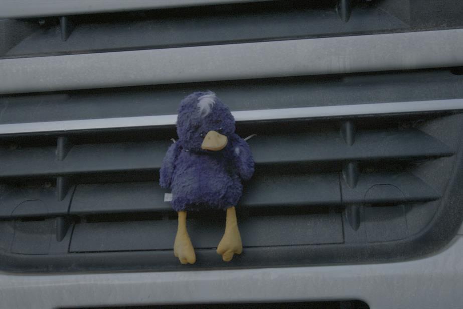 Duckie: the star of Cadbury's Puddles campaign