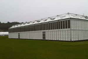 De Boer supply the Ryder Cup