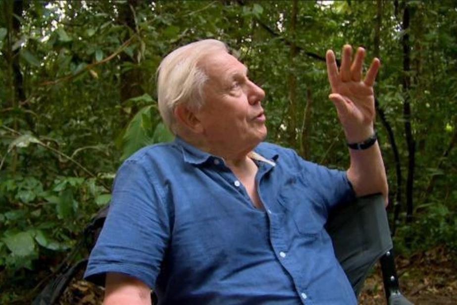 An image of David Attenborough