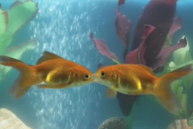 Friends Reunited: Brightsolid is looking to build awareness