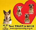 Dogs Trust: 'dating' ad