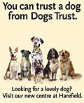 Dogs Trust: campaign backs new centre