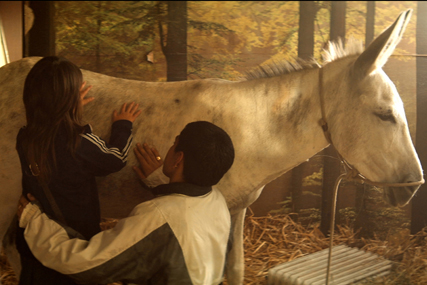 El Secreto de Mateo: part of the Parallel Lines short films presented by Philips Cinema
