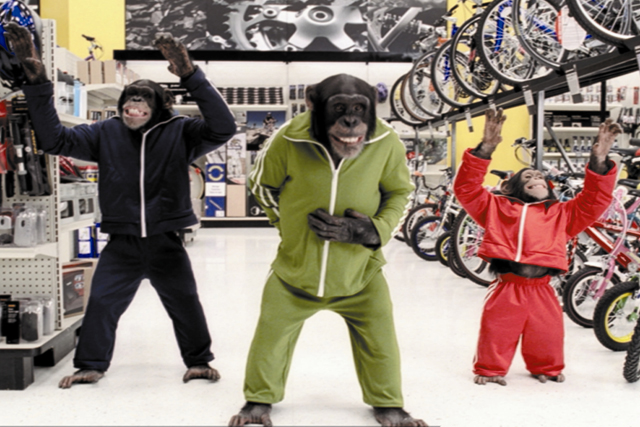 Halfords: hires Gerry Murphy