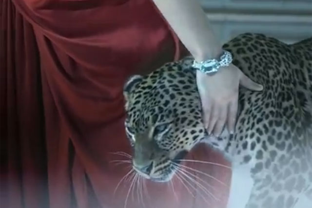 Cartier: unveils three-minute TV ad featuring live panthers