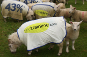 Thetrainline.com bolsters its team