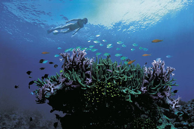Tourism Australia: The Great Barrier Reef