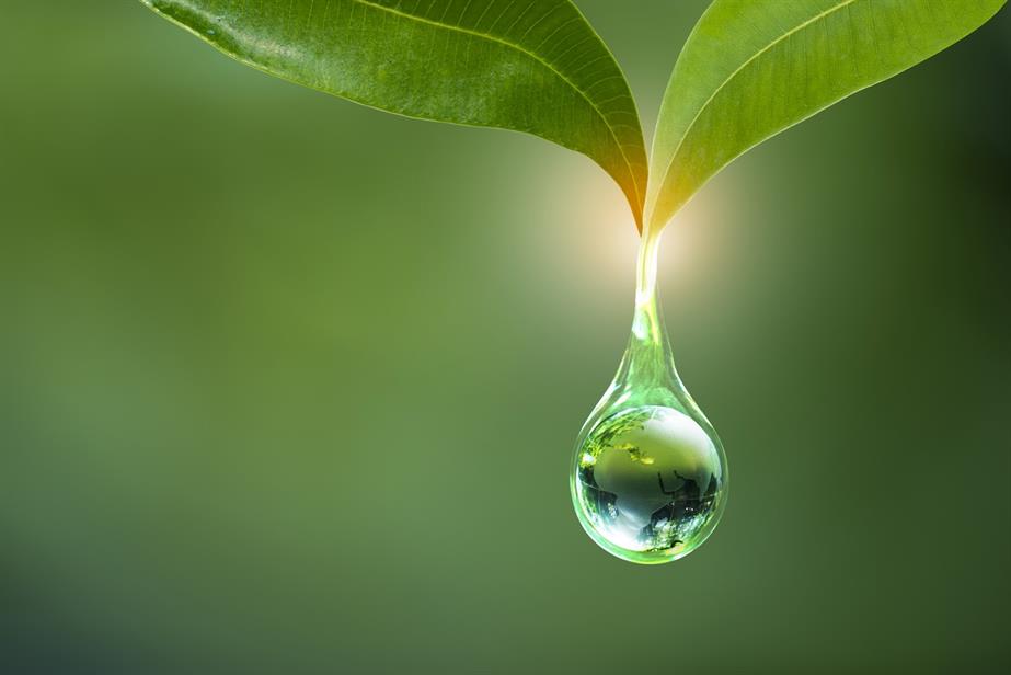 Earth Day concept with leaves and planet earth in a water drop (©GettyImages)