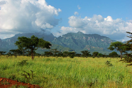 Uganda: outdoor is unregulated