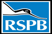 RSPB: appoints Prolog