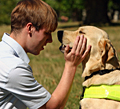 Guide Dogs: TDA wins account