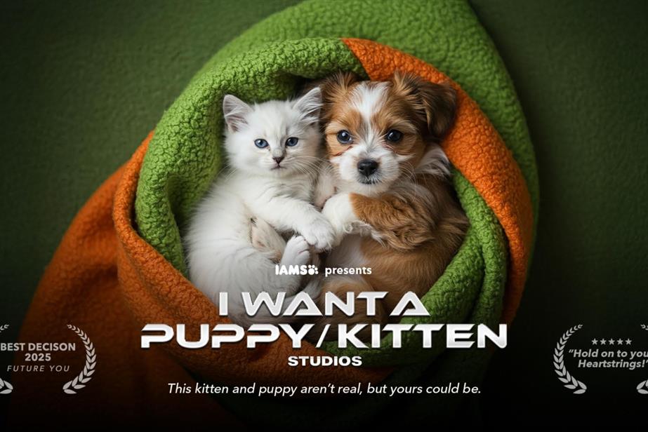 A kitten and puppy swaddled in a blanket.