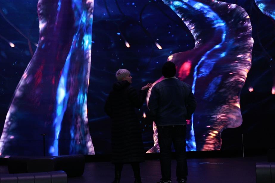 Two people watch a a screen which shows the image of a jellyfish