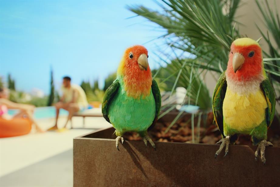 Two lovebird characters, Izzy and Lloyd, sit on the edge of a plant pot containing a palm, while in the background a couple sit talking by a swimming pool