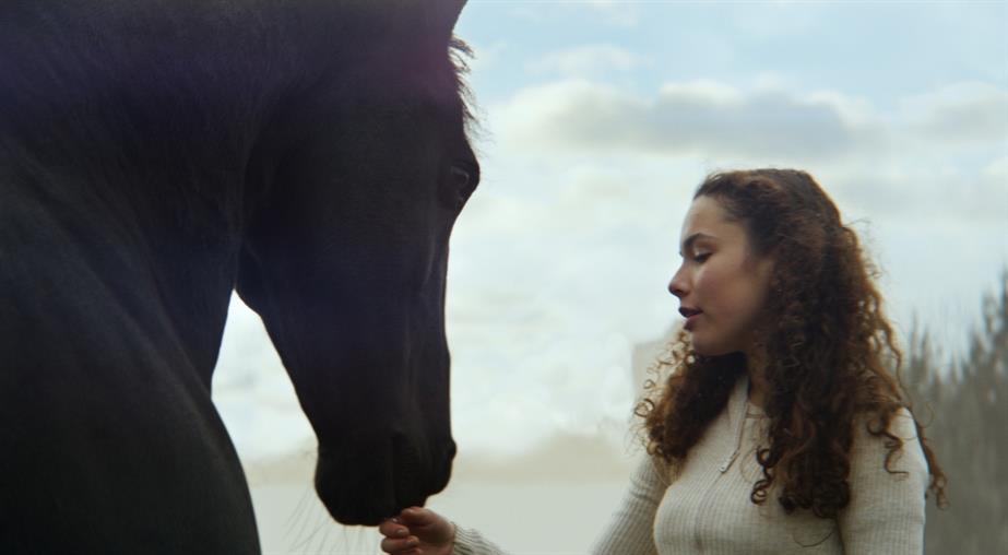 A girl holds up her hand to a black horse